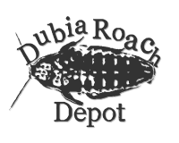 Dubia Roach Depot logo