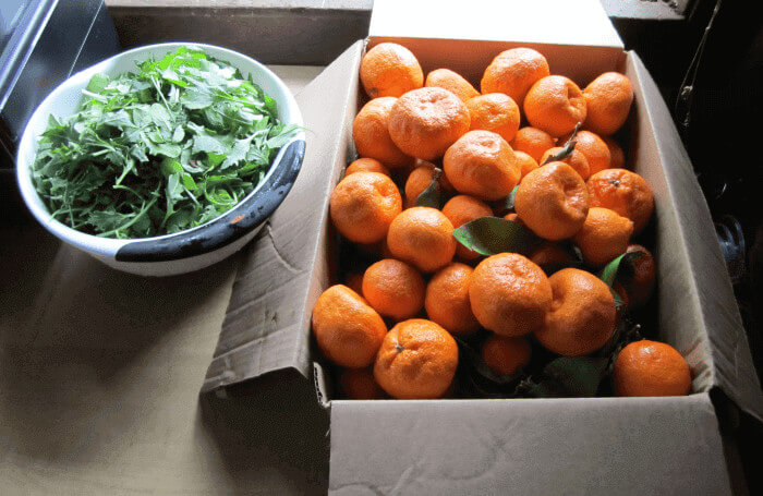 Tangerines and Greens